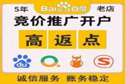 SEM推广公司案例：打造行业领军品牌